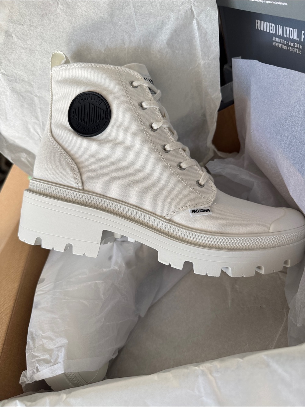 Palladium shoe